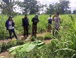 Warga Sukosari Bondowoso Dihebohkan Penemuan Mayat Kakek