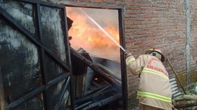 Cepat Aksi Tanggap Dinas Damkar Bojonegoro Tangani Kebakaran