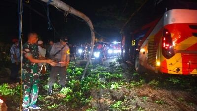 Anggota Koramil 0826-05 Larangan Bantu Evakuasi Pohon Tumbang di Pamekasan