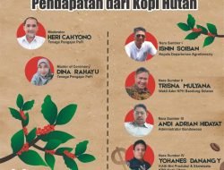 Kebutuhan Suplai Kopi Melonjak, Perhutani Bondowoso Genjot Tenaga Terampil