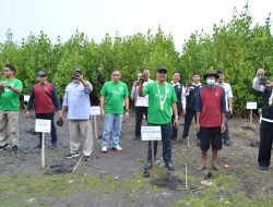 Sedekah Oksigen, Dirjen PPDT Gelar Penanaman Ribuan Mangrove di Pesisir Pantai Situbondo