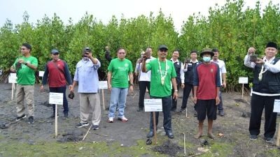 Sedekah Oksigen, Dirjen PPDT Gelar Penanaman Ribuan Mangrove di Pesisir Pantai Situbondo