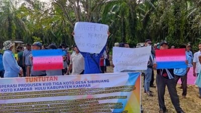 KUD Tiga Koto Melakukan Aksi Damai di PT. Padasa Enam Utama