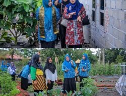 Hj Leni Ramaini Sambut Kunjungan Studi Tiru TP PKK Pekanbaru ke Dumai