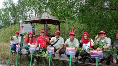 Lestarikan Habitat Bekantan, Yayasan AHM Tanam Seribu Mangrove Rambai