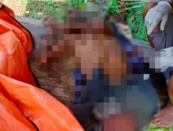 Mayat Tanpa Identitas Ditemukan di Gubuk Milik Warga Jember