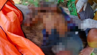 Mayat Tanpa Identitas Ditemukan di Gubuk Milik Warga Jember