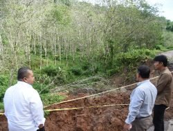 Bupati Dolly Tinjau Beberapa Titik Longsor di Tapsel