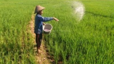 Petani Pangandaran Dorong APH Segera Tindak Tegas Oknum Distributor dan Kios Nakal