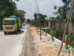 DLH Bojonegoro Tanam Pohon Terdampak Pembangunan Jalan