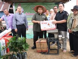 Bupati Tapsel Serahkan 10 Ribu Batang Bibit Cabai dan Bantuan Lainnya