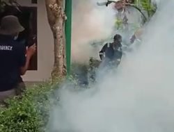 Balita Terserang DBD, Kades Kemuningsari Jember Lakukan Fogging