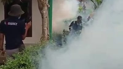 Balita Terserang DBD, Kades Kemuningsari Jember Lakukan Fogging