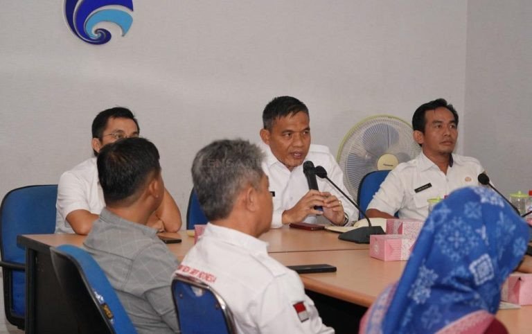 Kabupaten Banyuasin