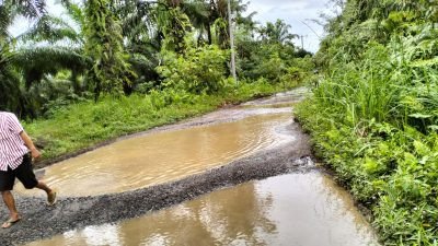Bak Kolam Ikan, Kades Tri Tunggal Bakti di Kaur Ajak Masyarakat Rawat Jalan Provinsi