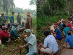 Pemerintah Kampung Negeri Ujan Mas di Way Kanan Laksanakan Bersih Kampung dengan Cara Gotong Royong