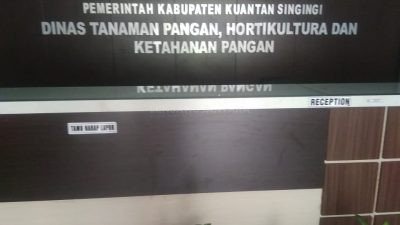 Minat Petani Tanam Kedelai di Kuansing Masih Rendah