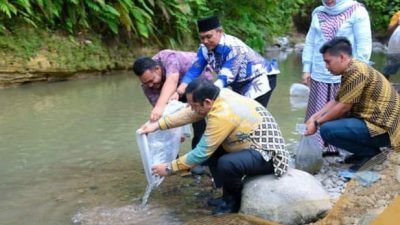 Wali Kota Padang Sidempuan Tabur Bibit Ikan 3000 Ekor di Panyanggar