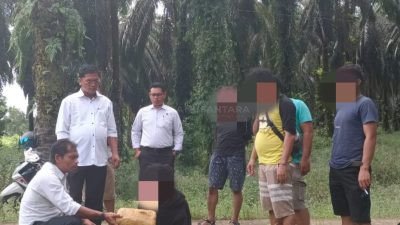 Satresnarkoba Polres Pasbar Tangkap Dua Orang Pengedar Ganja di Lokasi Berbeda