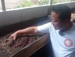 Peternak Cacing di Magetan Buktikan Kesungguhanya, Joko: Jangan Pernah Putus Asa untuk Sebuah Tujuan
