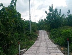 Pembangunan Jalan Desa Soko, Wujud Upaya Pemkab Bojonegoro Terus Lakukan Pemerataan