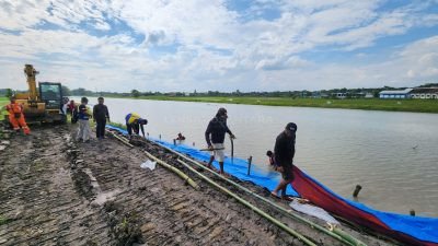 Respon Cepat PT Pertamina EP Sukowati Bojonegoro Lakukan Perbaikan Tanggul Inspeksi Anak Sungai Bengawan Solo