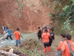 Pasca Banjir, Wali Kota Padang Sidempuan Titahkan BPBD Lakukan Survei