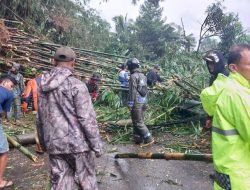 Longsor Tutup Akses Jalan, Lalu lintas di Bogor Terputus