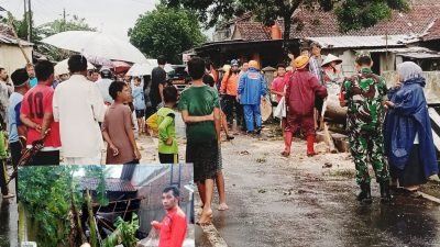 Akibat Hujan Deras Disertai Angin Kencang di Banjarnegara, Pohon Randu Tua Roboh Menimpa Garasi Milik Warga