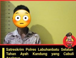 Satreskrim Polres Labusel Amankan Pelaku Cabul Anak Dibawah Umur