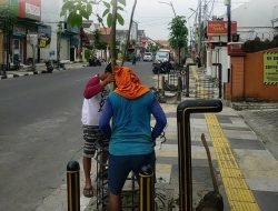 Pemkab Bojonegoro Tangani Langsung Penggantian Pohon Mati