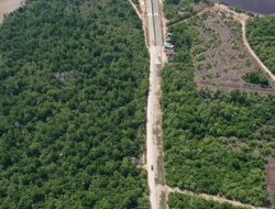 PHR Hadirkan Ecoeduwisata Bandar Bakau dan Jaga Konservasi Mangrove di Pesisir Riau