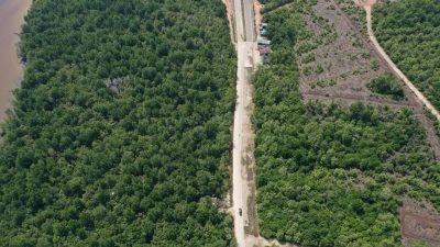 PHR Hadirkan Ecoeduwisata Bandar Bakau dan Jaga Konservasi Mangrove di Pesisir Riau