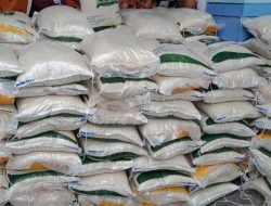 Waduh..!! Warga Jember Dapatkan Beras Bulog Berkutu