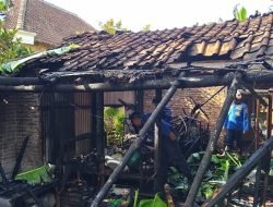 Satu Rumah Warga Bondowoso Dilalap Si Jago Merah, Satu Orang Meninggal