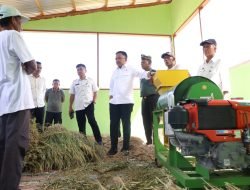Bakal Jadi Penyuplai Bibit Kopi, Kelapa dan Pala Terbaik di Sulsel, 4,5 Hektare Lahan di Bantaeng Akan Jadi Pusat Penangkaran Benih