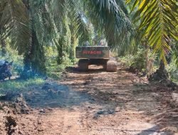 Pembukaan Badan Jalan Sentra Produksi di Desa Tanjung Dalam Kaur Tidak Dilengkapi Papan Informasi, Progres Pekerjaan Sudah 90 Persen