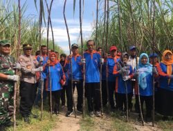Bupati Magetan Hadiri Methil Tebu dan Launching POC UD Khrisna Mulya
