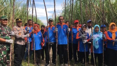 Bupati Magetan Hadiri Methil Tebu dan Launching POC UD Khrisna Mulya