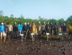 PJ Kepala Desa Onemay Gandeng Kodim 1510 Kepulauan Sula Laksanakan Penanaman Mangrove Serentak di Kecamatan Taliabu Barat Laut