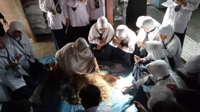 SMP Mulia Lakukan Peningkatan Skill Siswa-siswinya melalui Kunjungan Edukasi di Pabrik Keripik Tempe