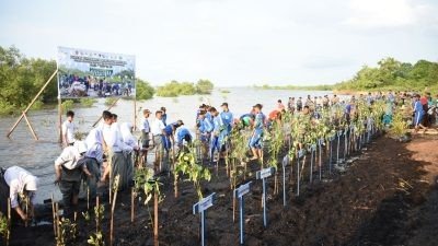 Dukung Program TNI Terkait Kelestarian Lingkungan, PT KPI RU Dumai Hadiri Acara Penanaman Mangrove Serentak Seluruh Indonesia