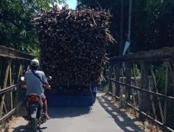 Warga Larang Angkutan Tebu PG Semboro Jember Melewati Jembatan di Perbatasan Desa Nogosari-Rowotamtu