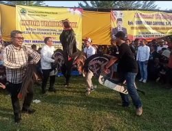 Kunjungan Kerja ke Banjarnegara, Wakil Ketua DPRD Provinsi Jawa Tengah Ikut Menari Kuda Kepang