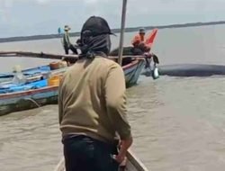 Kisah Nelayan Selamatkan Paus yang Terdampar di Panipahan