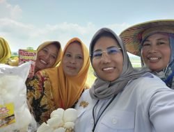 Antisipasi Krisis Pangan Akibat El Nino, Pemerintah Perkuat Ketahanan Pangan Lewat KUR untuk Petani