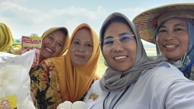 Antisipasi Krisis Pangan Akibat El Nino, Pemerintah Perkuat Ketahanan Pangan Lewat KUR untuk Petani