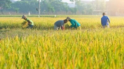 Dandim 0824/Jember, HKTI dan Petani Peringati Hari Krida Pertanian ke-51