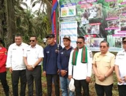 Pengecekan Sekat Kanal, Wamen Lingkungan Hidup dan Kehutanan RI Lakukan Kunjungan Kerja di Kabupaten Pelalawan