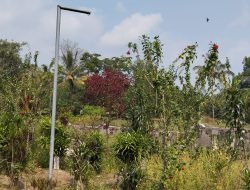 Viral..!! Tiang Lampu Kuburan di Bondowoso Bergerak Sendiri, Warga Sebut Akibat Penambangan Pasir